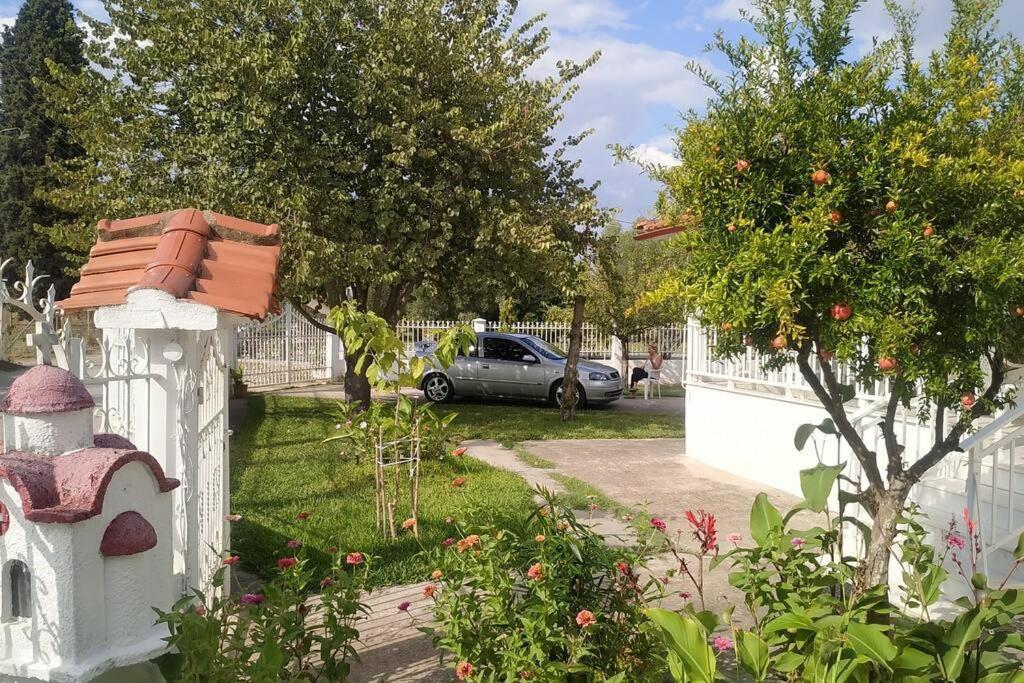 Vasiliki'S Guest House Vergia Bagian luar foto